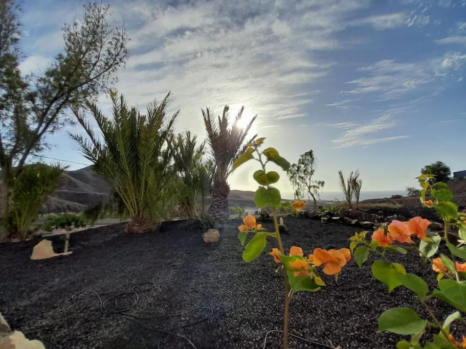 Casagrande Sunset II - Fuerteventura - Costa Calma Villa Pájara Exteriör bild